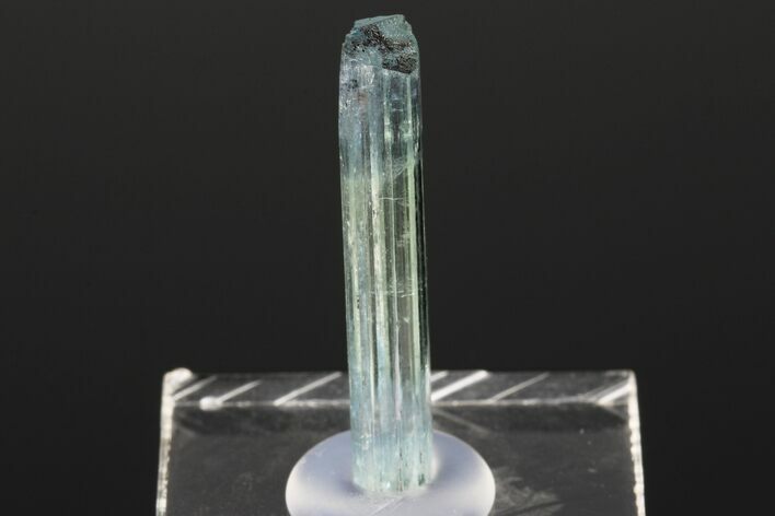 Bi-Colored Aquamarine Crystal - Transbaikalia, Russia #175642